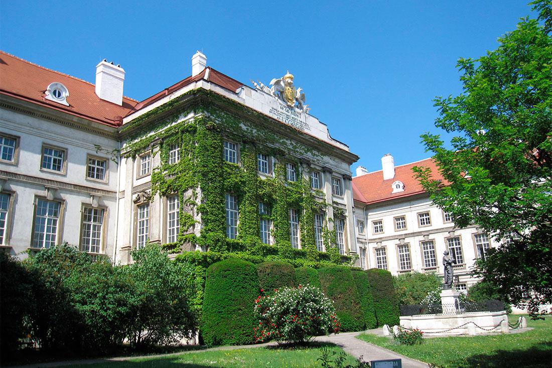Accademia Medico-Chirurgica di Vienna
