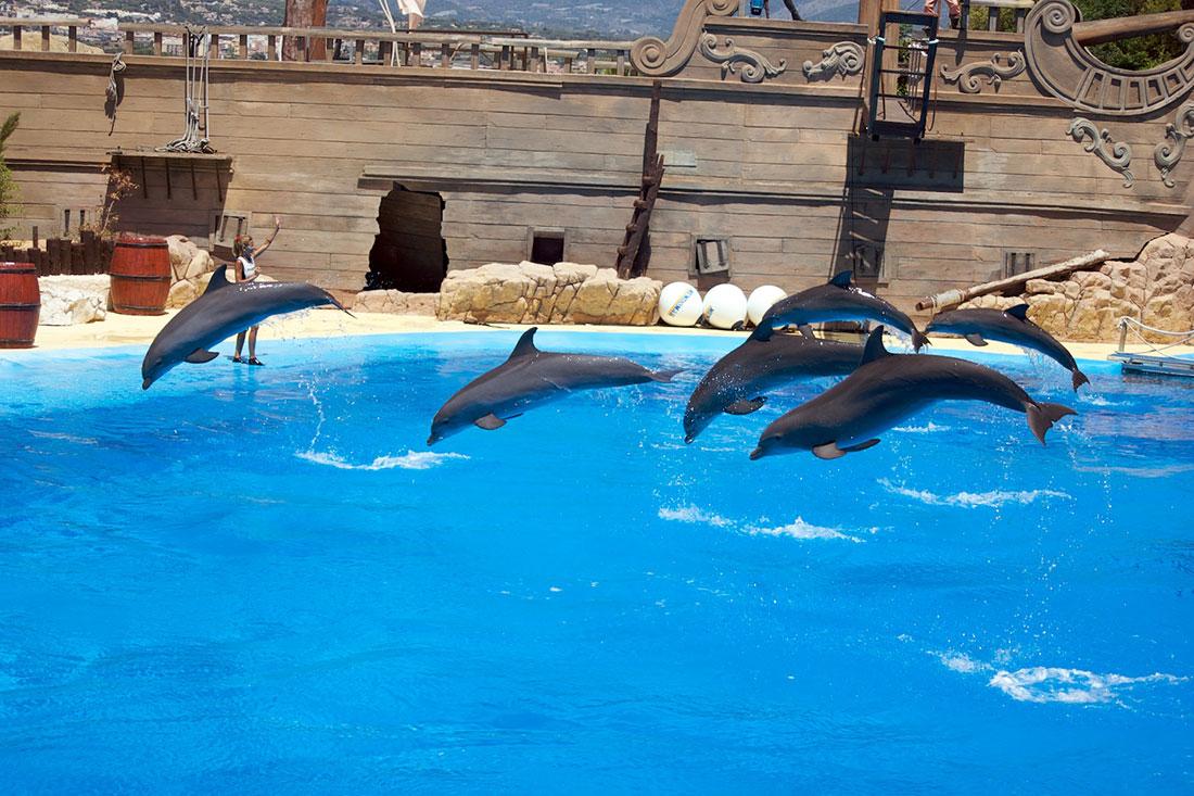 Mundomar Marine Animal Park