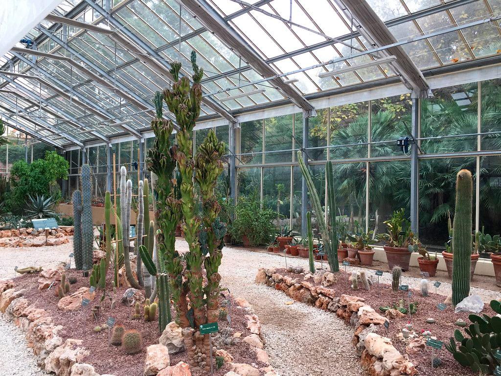 Botanical Garden