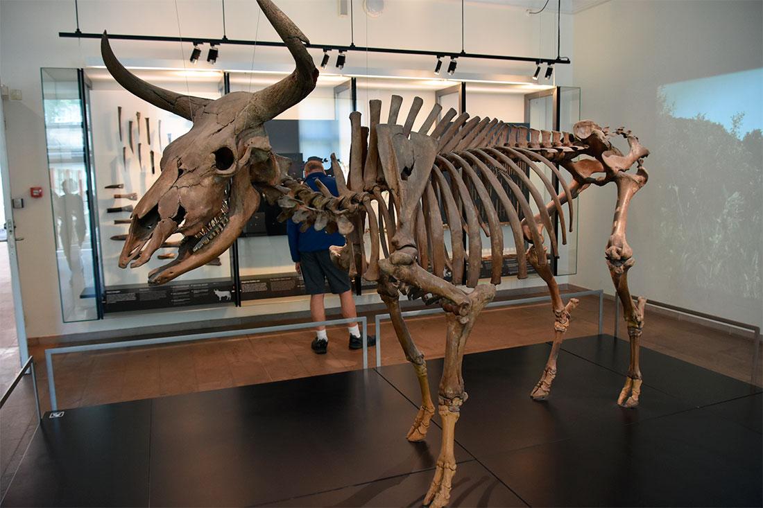 Museo Nazionale di Danimarca