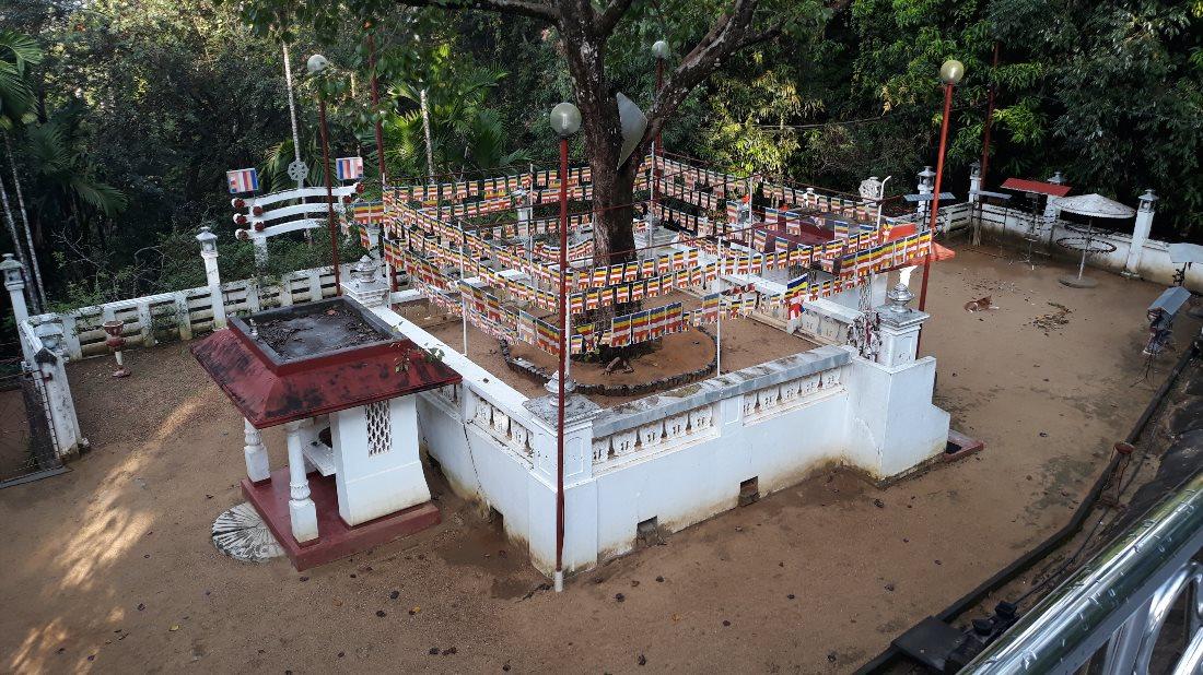 Bodhinagala Forest Monastery