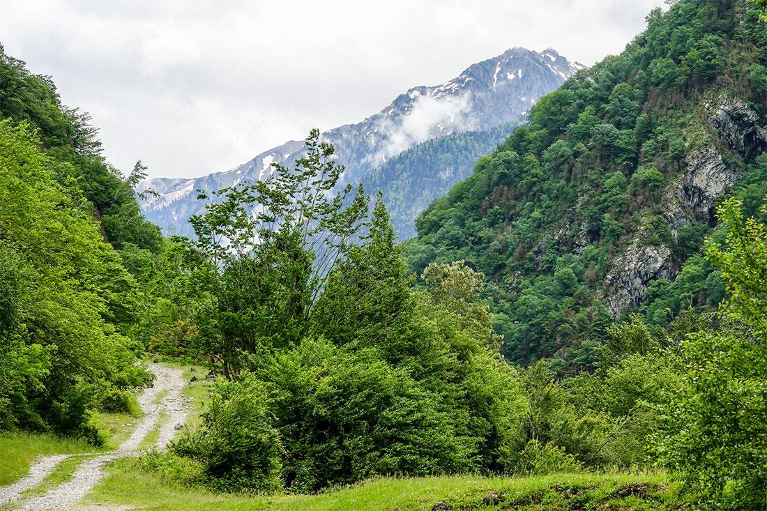 Ritsa Relict National Park
