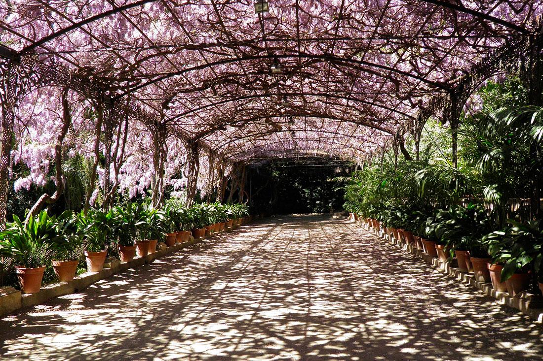 La Concepción Historical Botanical Garden