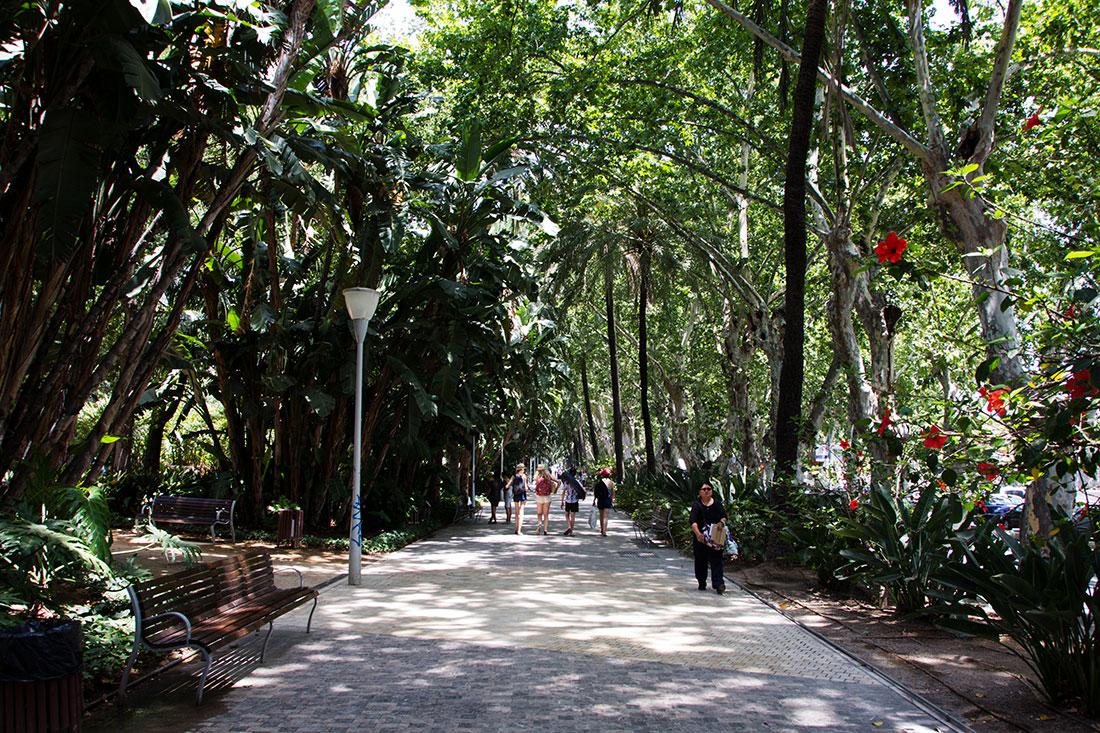 Paseo de España Area