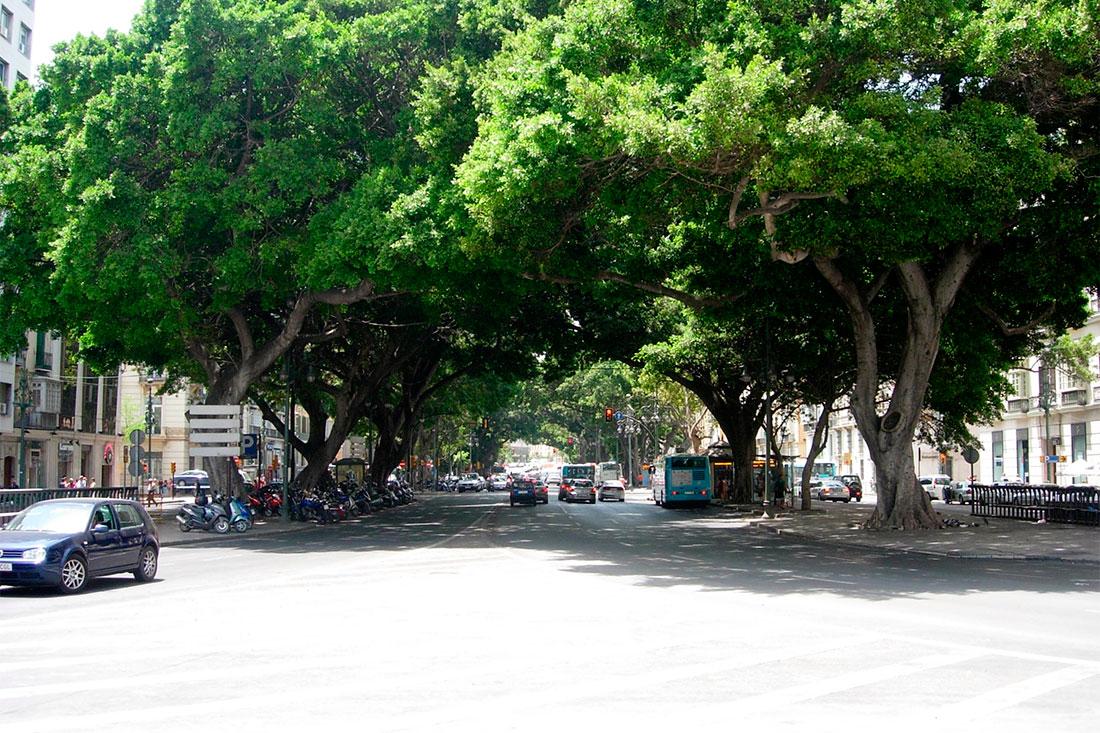 Alameda Principal Area