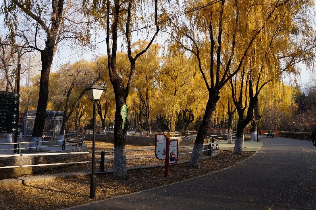 Zhaolin Park