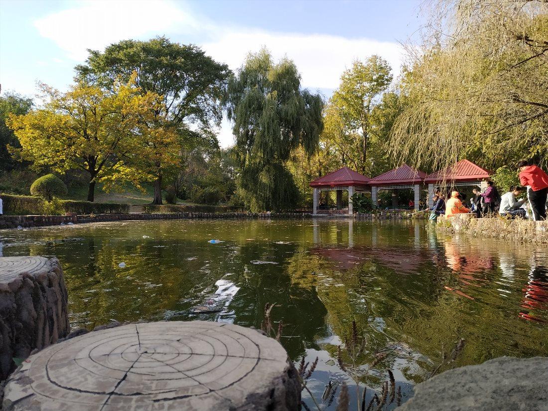 Heilongjiang Forest Botanical Garden