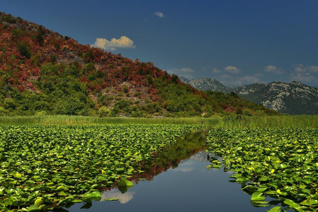Skadar Lake