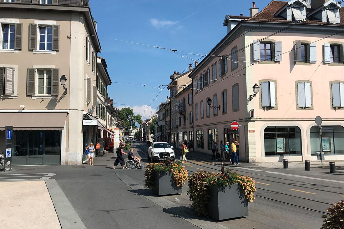 Carouge District