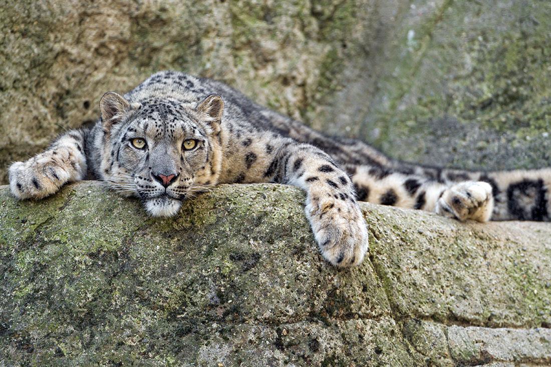 Basel Zoo