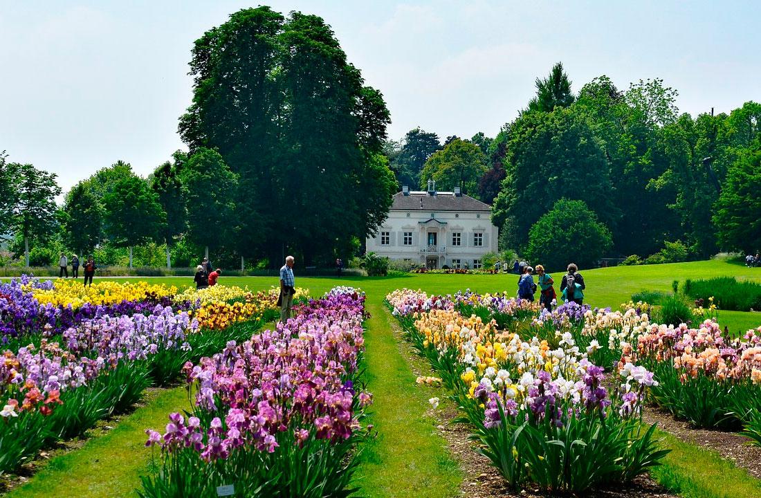 Merian Garten Botanical Garden