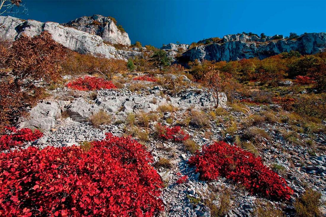 Karst Plateau