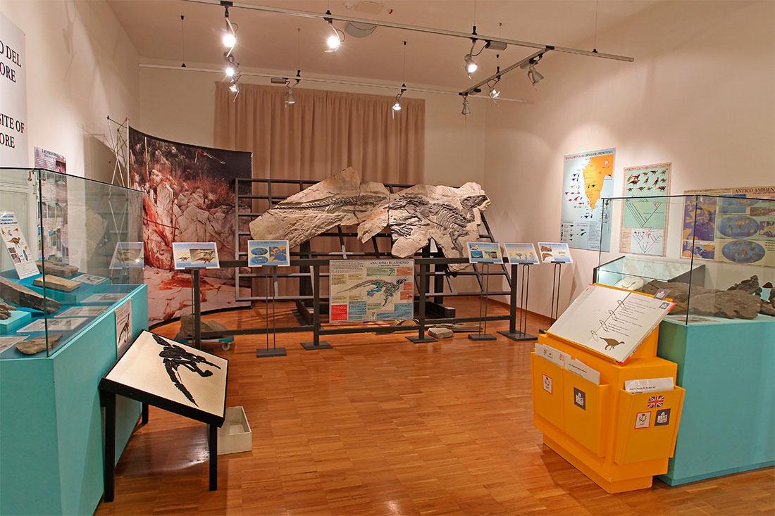 Museum of Natural History