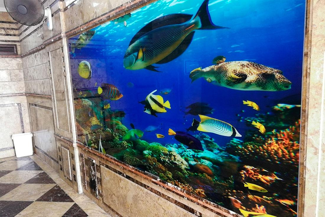 Alexandria Aquarium